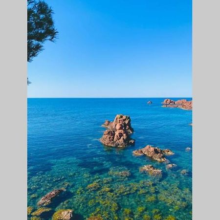 Superbe 4 Couchages Avec Terrasse - Clim - 50M De La Mer Saint-Raphaël Zewnętrze zdjęcie