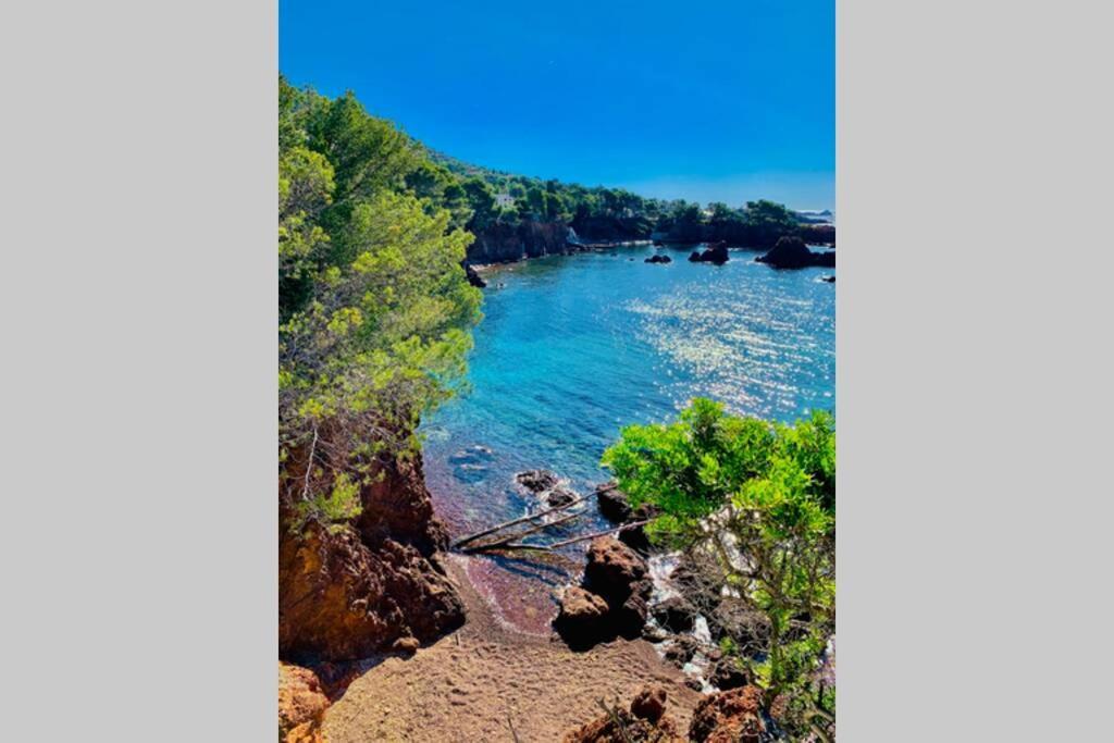 Superbe 4 Couchages Avec Terrasse - Clim - 50M De La Mer Saint-Raphaël Zewnętrze zdjęcie