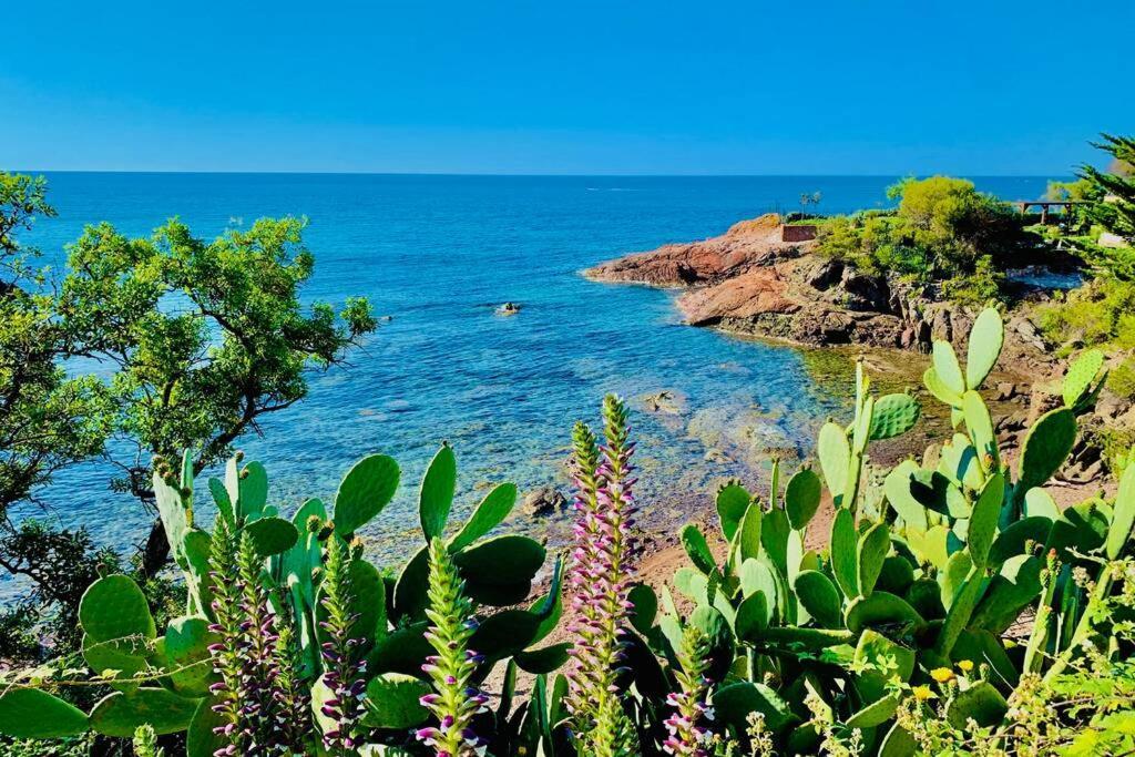 Superbe 4 Couchages Avec Terrasse - Clim - 50M De La Mer Saint-Raphaël Zewnętrze zdjęcie