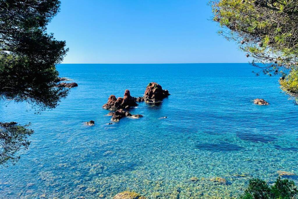 Superbe 4 Couchages Avec Terrasse - Clim - 50M De La Mer Saint-Raphaël Zewnętrze zdjęcie